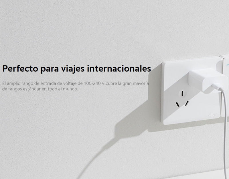 Mi 20W Cargador (Tipo C)