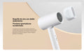 Secador de Pelo Compacto Xiaomi H101