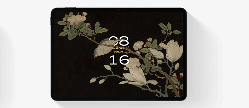 Tablet Xiaomi Pad 7 8GB/256GB
